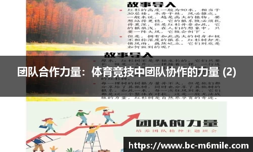 团队合作力量：体育竞技中团队协作的力量 (2)